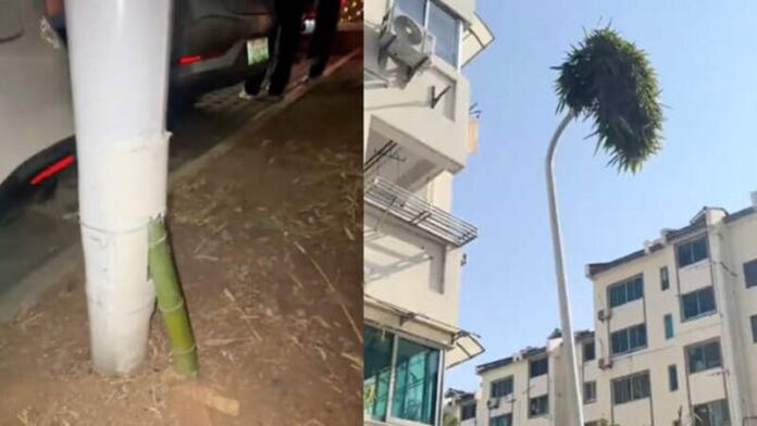 บทเรียนชีวิต