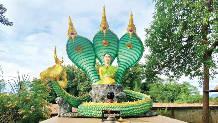 ชวนกันมาพากันมู