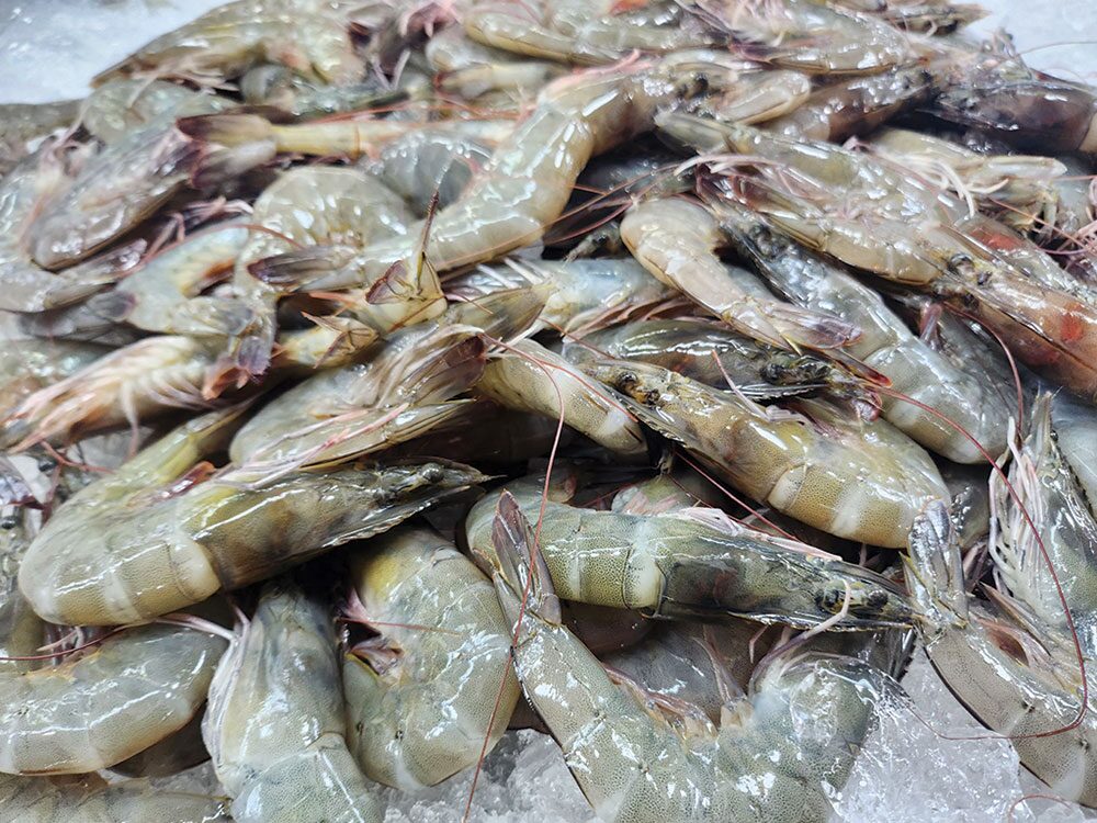 หลาก&หลายเกษตร - ซีพีแนะเกษตรกรเลี้ยงกุ้ง ปลอดภัยไร้สารตกค้าง-กำไรยั่งยืน
