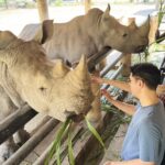 สวนสัตว์เปิดเขาเขียว สุดคึกคัก แห่ชม 'หมูเด้ง' ใช้สิทธิ์เที่ยวฟรี ปีใหม่ 2569