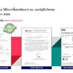 มหิดล เปิดเทรนด์โลก 2026 ชูนวัตกรรมแพทย์-นักวิจัยไทย 'สู้มะเร็ง-รู้ทันโรค-ชะลอวัย'