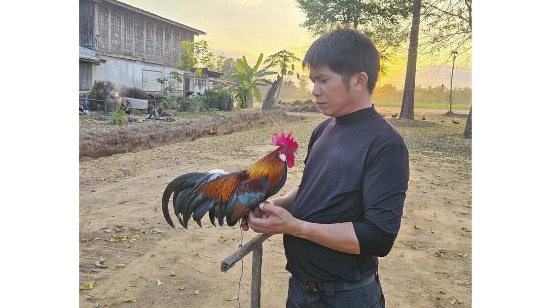 เพื่อนตัวเล็ก