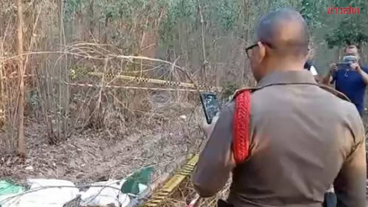 Clothing Vendor Discovers Tragic Infant Corpse Discarded in Eucalyptus Forest