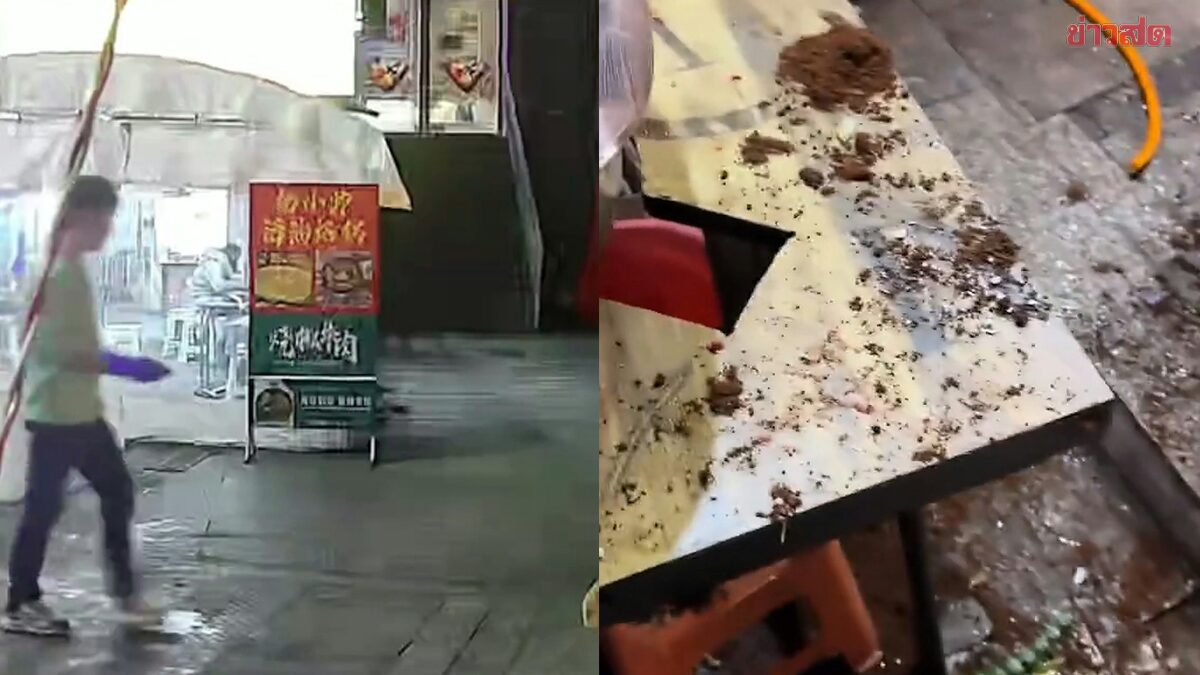 Good Deed Pays Off! Chinese Man Narrowly Escapes as Flower Pot Falls After Feeding Stray Cat