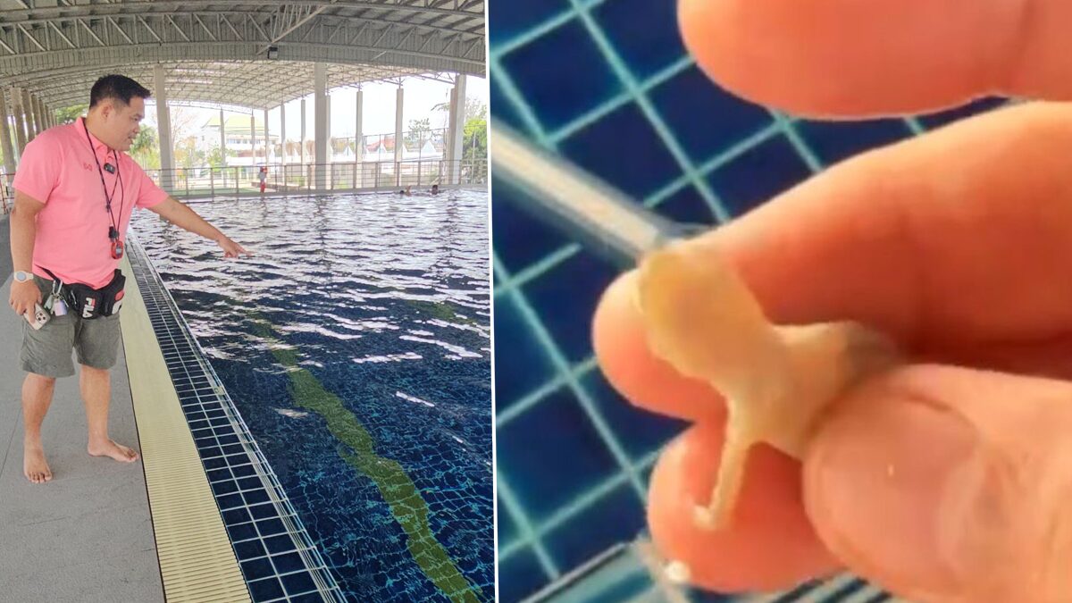 Lizard Nearly Dies: Swimming Instructor Performs CPR and Saves Drowning Creature