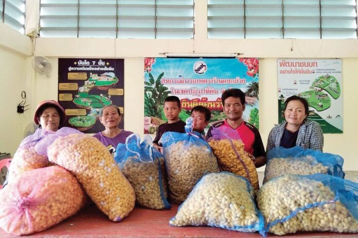 หลาก&หลายเกษตร - ชู‘บ้านดงกล้วยโมเดล’ สหกรณ์ต้นแบบในพื้นที่ ‘คทช.’