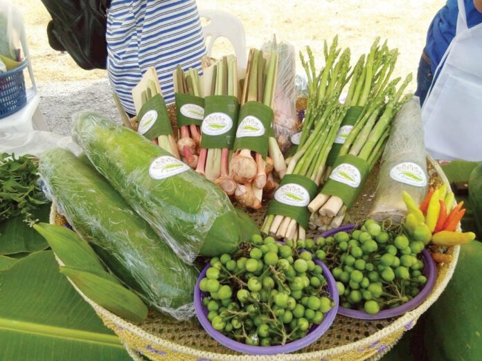 หลาก&หลายเกษตร - ชู‘บ้านดงกล้วยโมเดล’ สหกรณ์ต้นแบบในพื้นที่ ‘คทช.’
