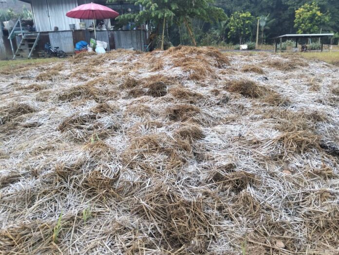 ปีนี้ หนาวช้า-หนาวนาน 