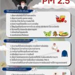 สธ. แจ้ง ฝุ่น PM2.5 พ่นพิษ ทำยอด ผู้ป่วย เข้า 'คลินิกออนไลน์' พุ่ง แนะวิธีบรรเทาปัญหา