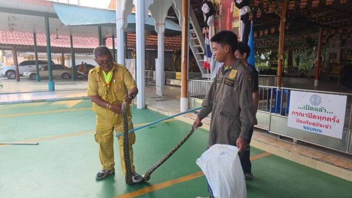 ภาพประกอบ