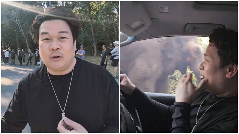 “วิน เวคิน” ใจหล่นวูบ! เผชิญหน้าช้างป่า