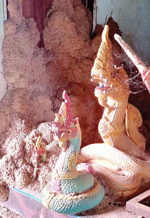 ชวนกันมาพากันมู