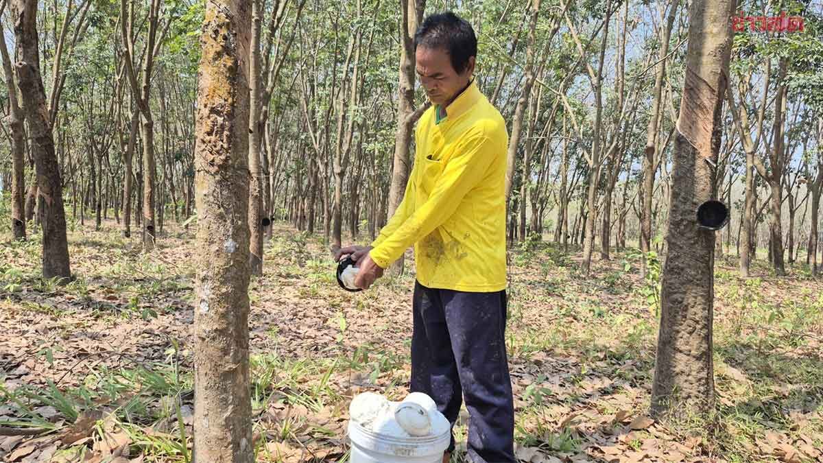 Border Community Residents Seek Strong Leadership to Resolve Unrest and Economic Challenges