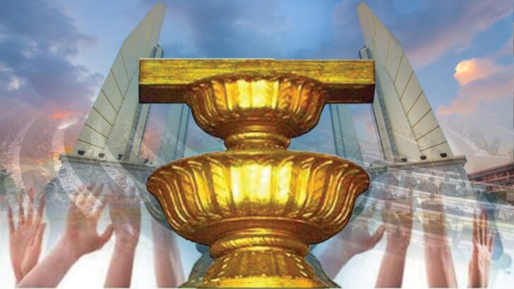 80 Democratic Organizations Issue Statement Supporting Constitutional Referendum on February 8