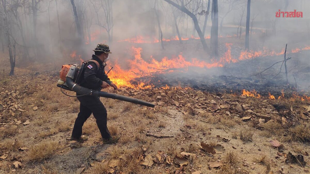 Doi Tao Springs into Action! Two Teams Extinguish 15 Forest Fire Points in Mae Hat National Reserved Forest
