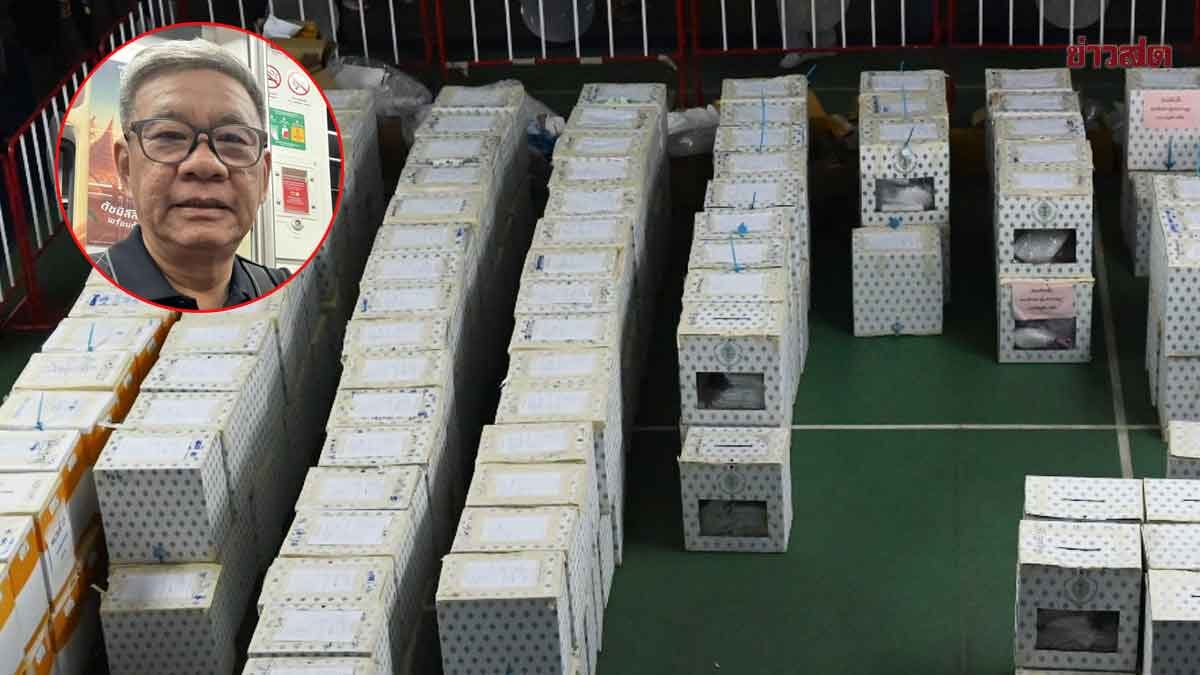 Somchai Demands Election Commission Clarify Chonburi District 1 Election Irregularities