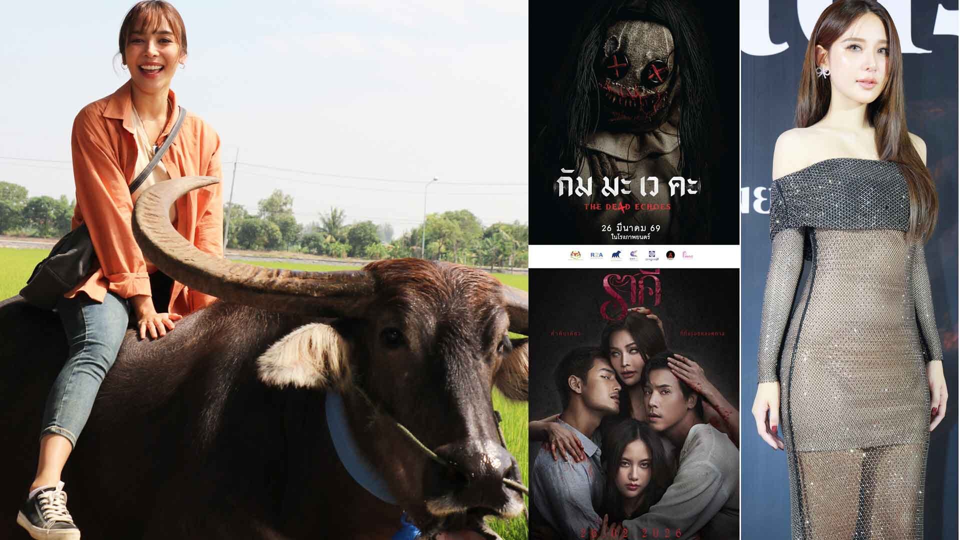 Hello Stars - Jeah Chertintra Shares Experience Working with Buffalo