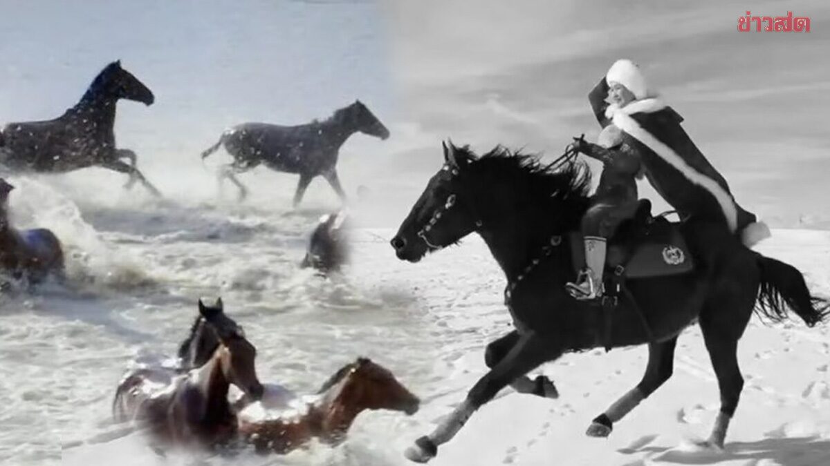 Tragic: Chinese Official Dies After Falling from Horse While Filming Agricultural Promotional Video