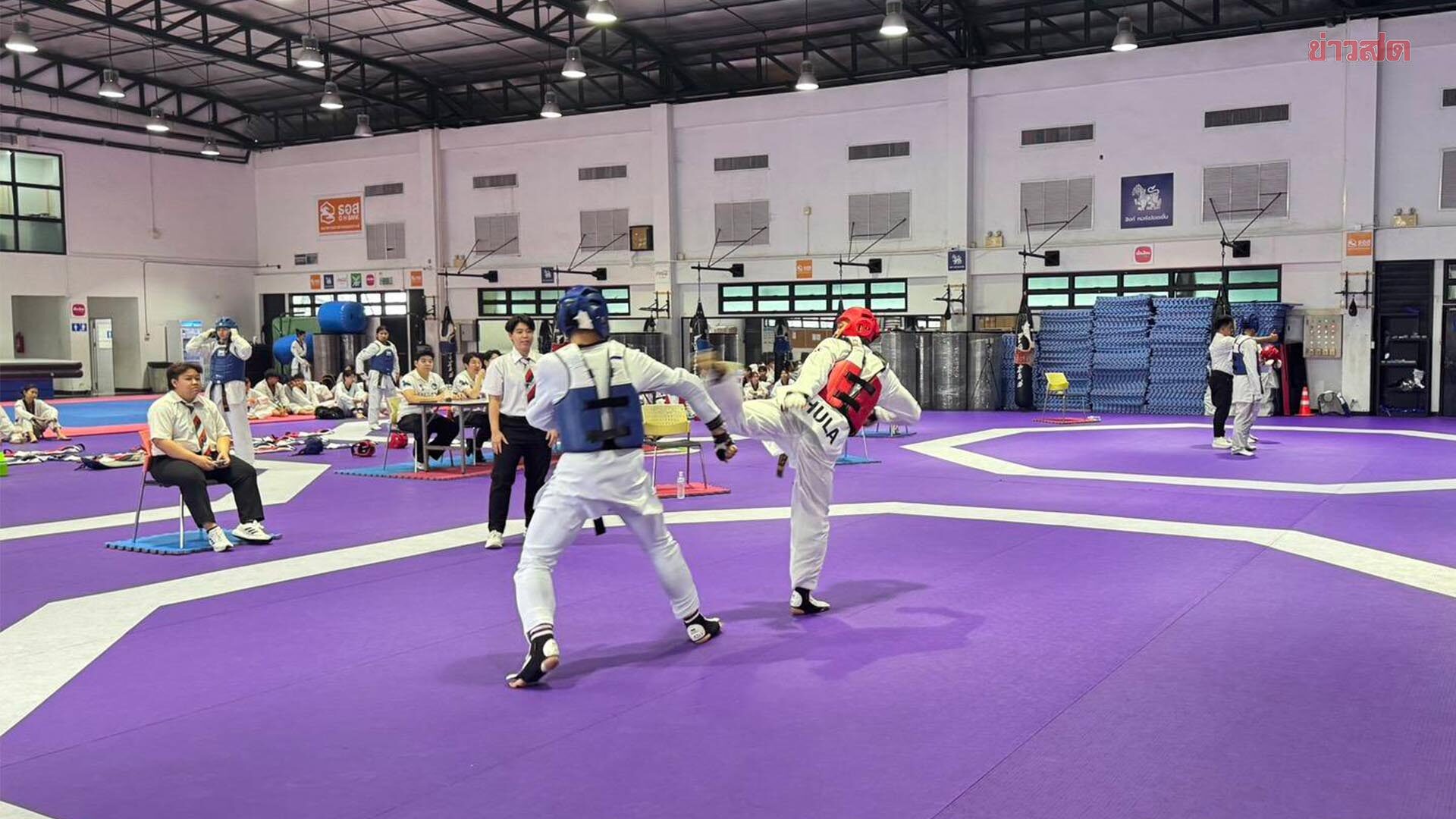 Taekwondo Martial Arts Team Gears Up for Intense Tournament Season