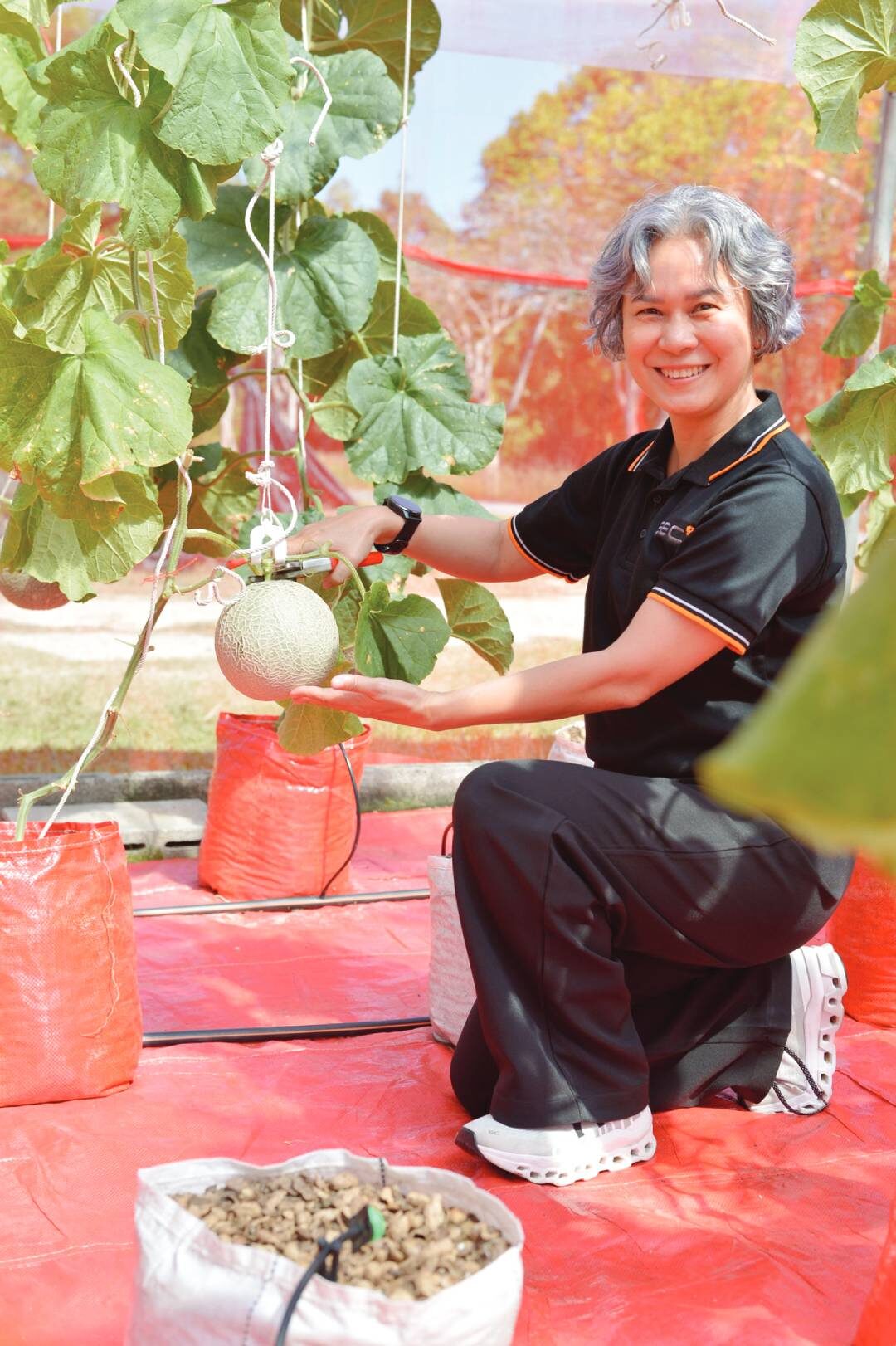 หลากหลายเกษตร