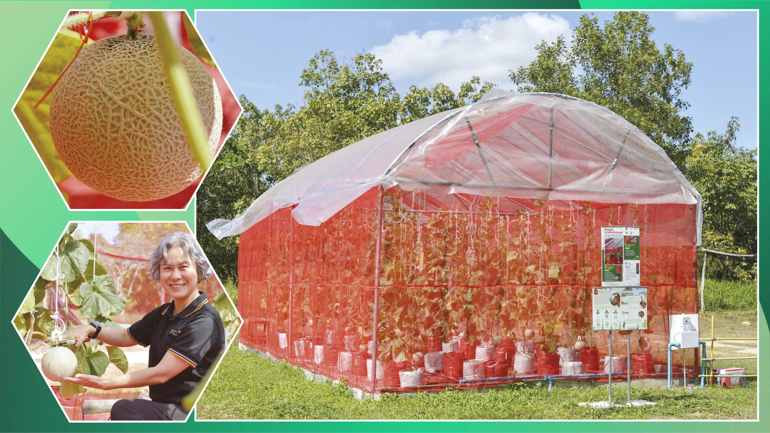 Diverse Agriculture - EECi Develops Smart Agricultural Innovations for Modern Farming