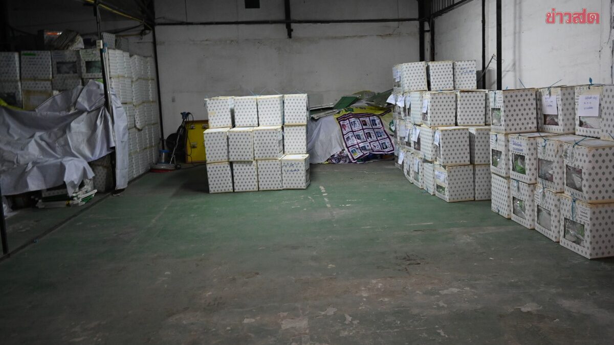Insider Speaks: Warehouse Owner's Nephew Reveals Details About Chonburi Election Ballot Storage