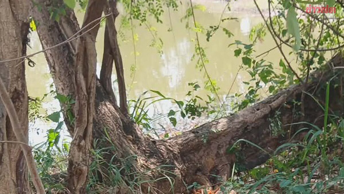 Municipal Employee Found Dead in Bushland After Going Missing