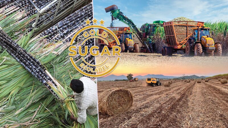 Special Report - Sugar Ecolabel: Dust-Free Sugar Elevating Thai Sugarcane to International Sustainability