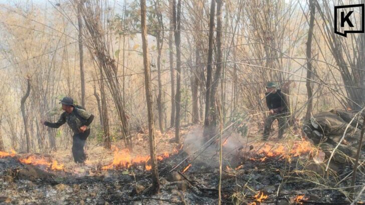 Wildfire Continues to Rage in Phetchabun for 48 Hours