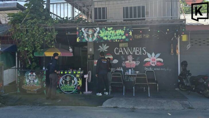 Phuket Police Raid Unlicensed Cannabis Shop