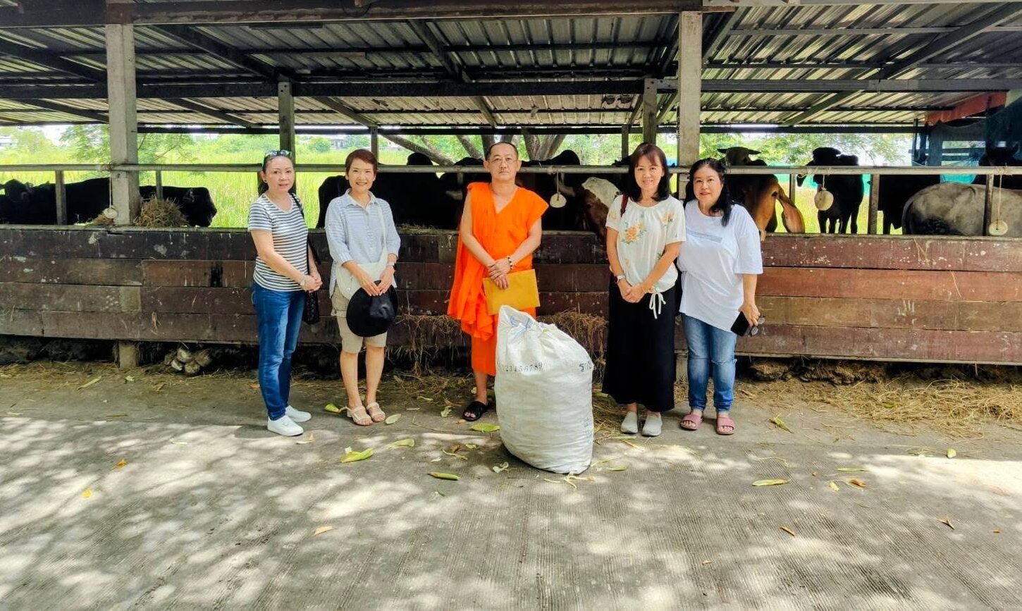 Invitation to Merit-Making at Wat Phai Luang: A Sacred and Serene Temple in Bang Yai