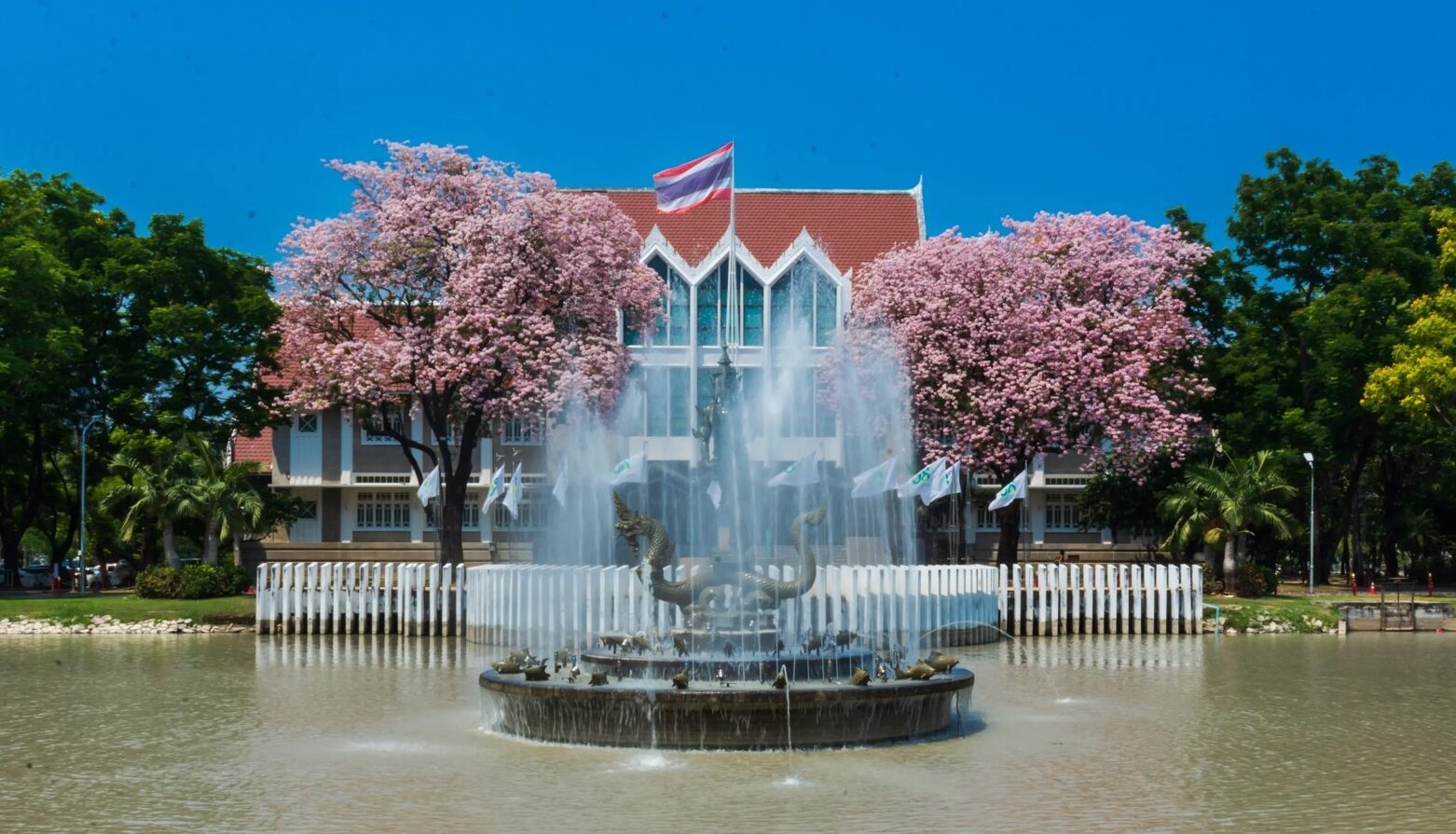 Kasetsart University Rises to 4th Place in Thailand for Medical and Health Sciences in THE 2026 World Rankings