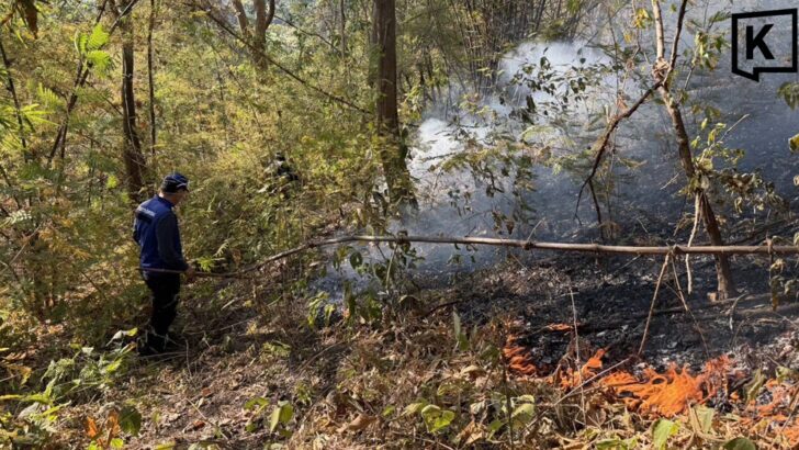 Forest Fire Risk Escalates in Southern Chiang Mai