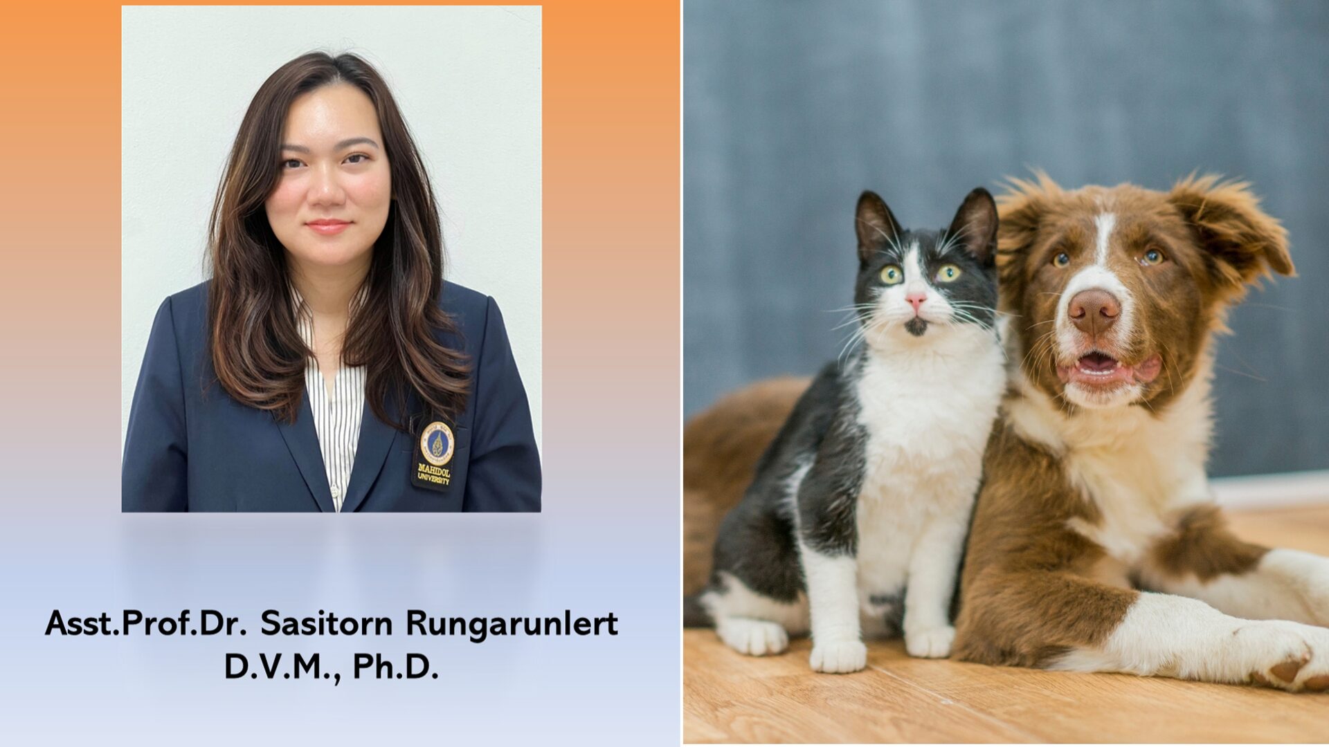 Pet Lovers Rejoice! Mahidol University Develops Innovative Solution for Pet Allergies Without Steroids