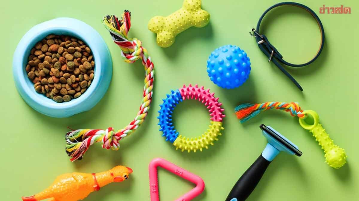 DITP Highlights Explosive Growth of Pet Market in China, Emphasizes Quality Standards