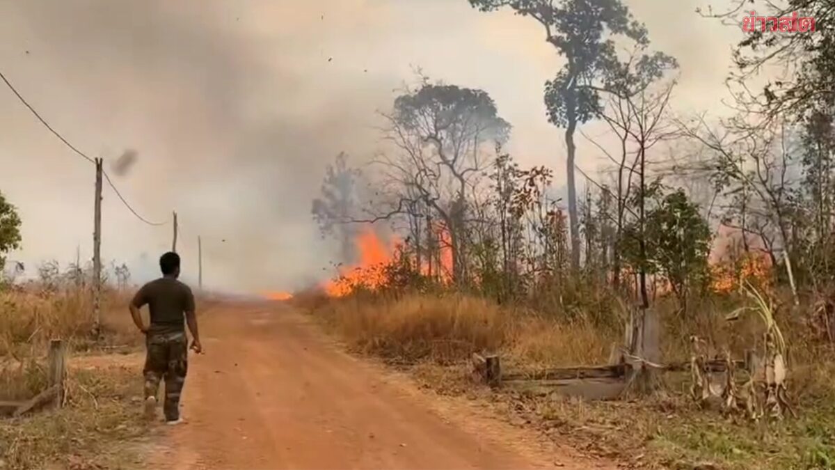 Cambodia Continues Forest Burning Near Border, Suspected Cambodian Military Provocation