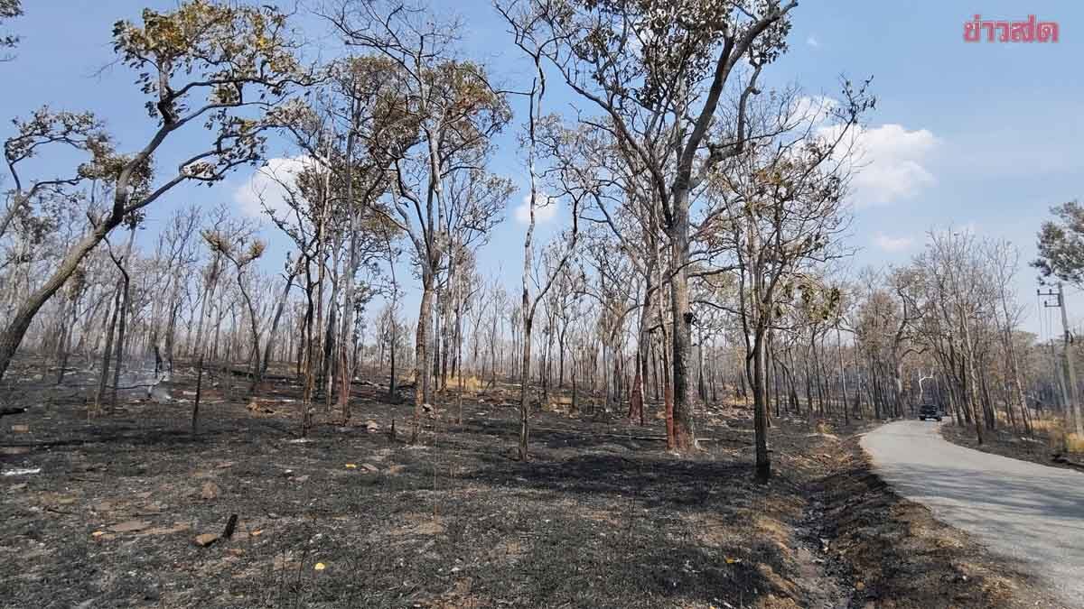 Forest Fire at Sakaerat Under Control: Thousands of Acres Burned, Impact Assessment Underway