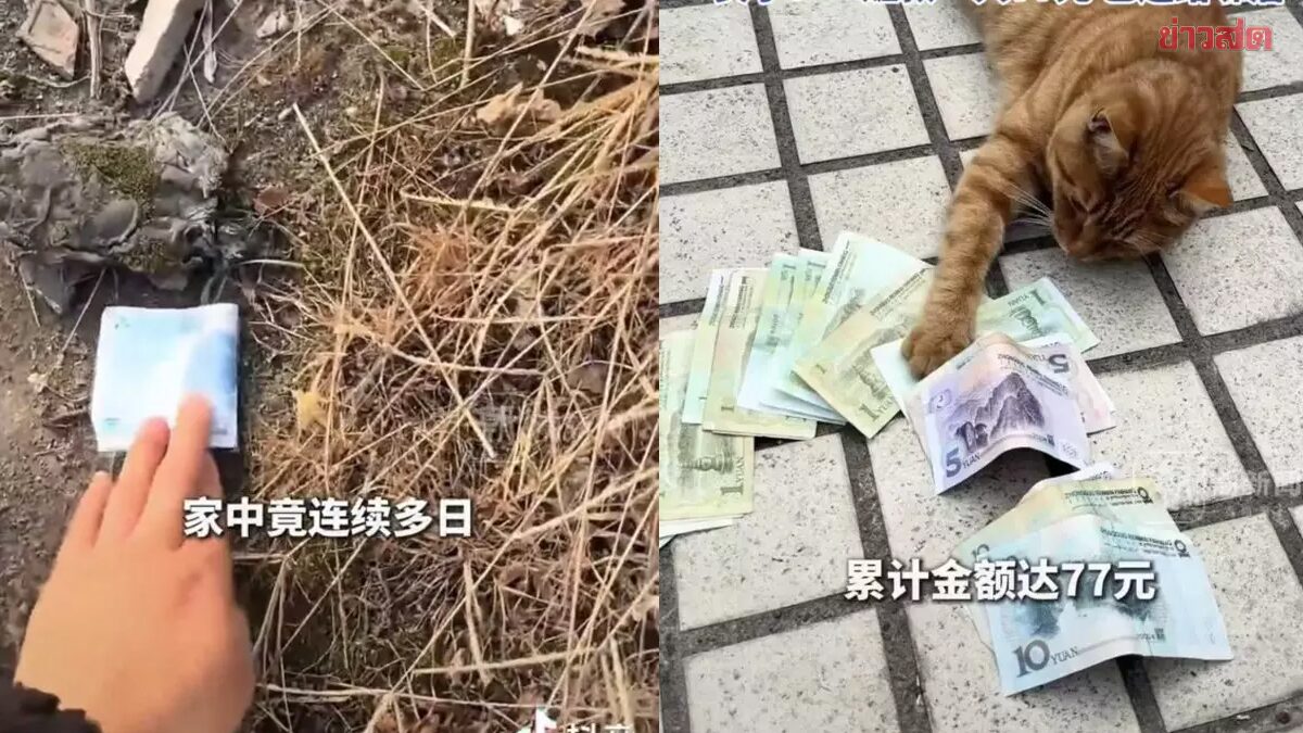 Chinese Woman Prays to God of Wealth, Finds Money at Her Door for Two Days - Discovers Surprising Culprit