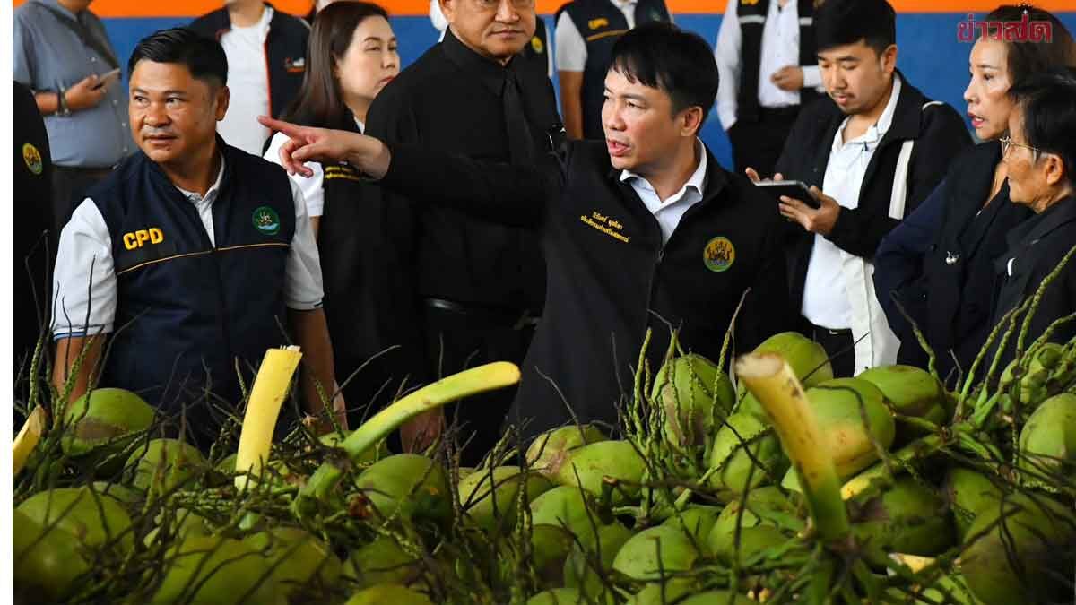 Cooperative Department Launches Massive Coconut Purchase to Boost Prices