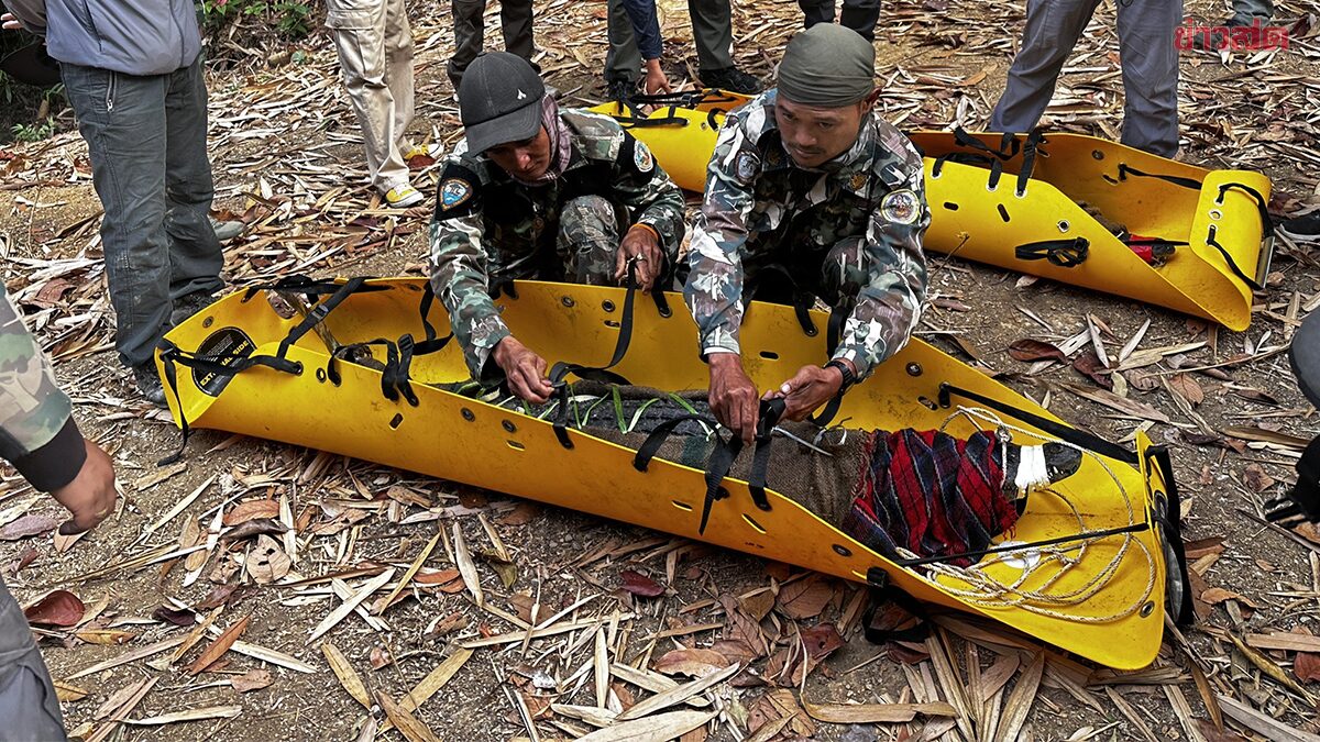 Kaeng Krachan National Park Releases Two Pure Thai Freshwater Crocodiles Back to Their Native River