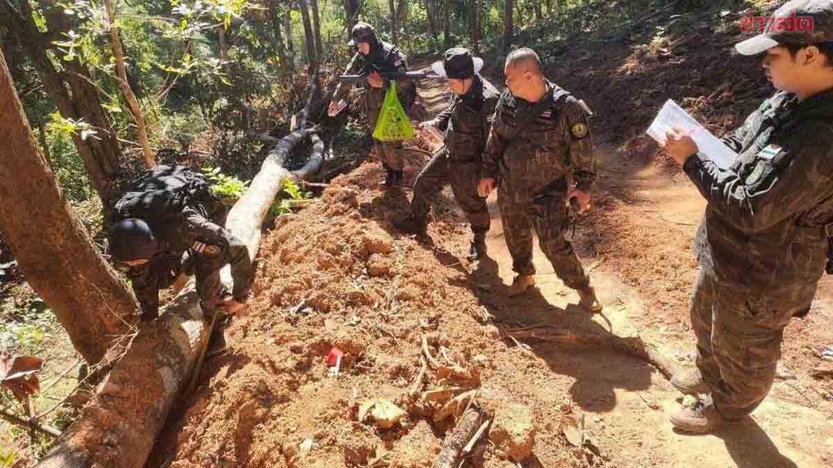 National Park Officials Charge Former Wildlife Conservation Area Chief for Illegal Forest Clearing