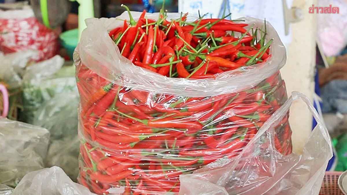 Spicy Shock: Chili Pepper Prices Surge to 5-Year High at 130 Baht