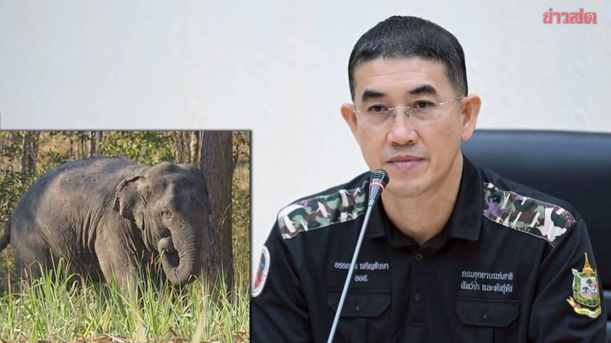 National Parks Department Addresses Elephant Relocation Incident, Confirms Following Scientific Procedures