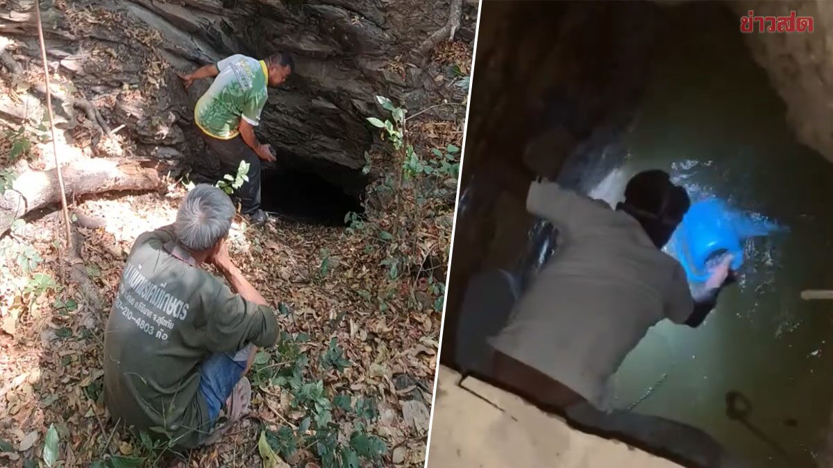 Exploring the Mystical Water Pool: Investigating the 800-Year-Old Giant Eel Legend