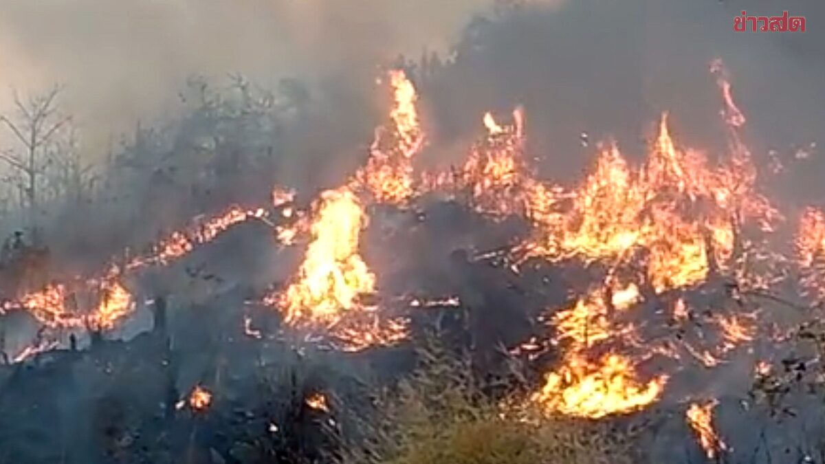 Phetchabun Forest Fire Rages for Nearly 48 Hours, Equipment Shortage Hampers Efforts