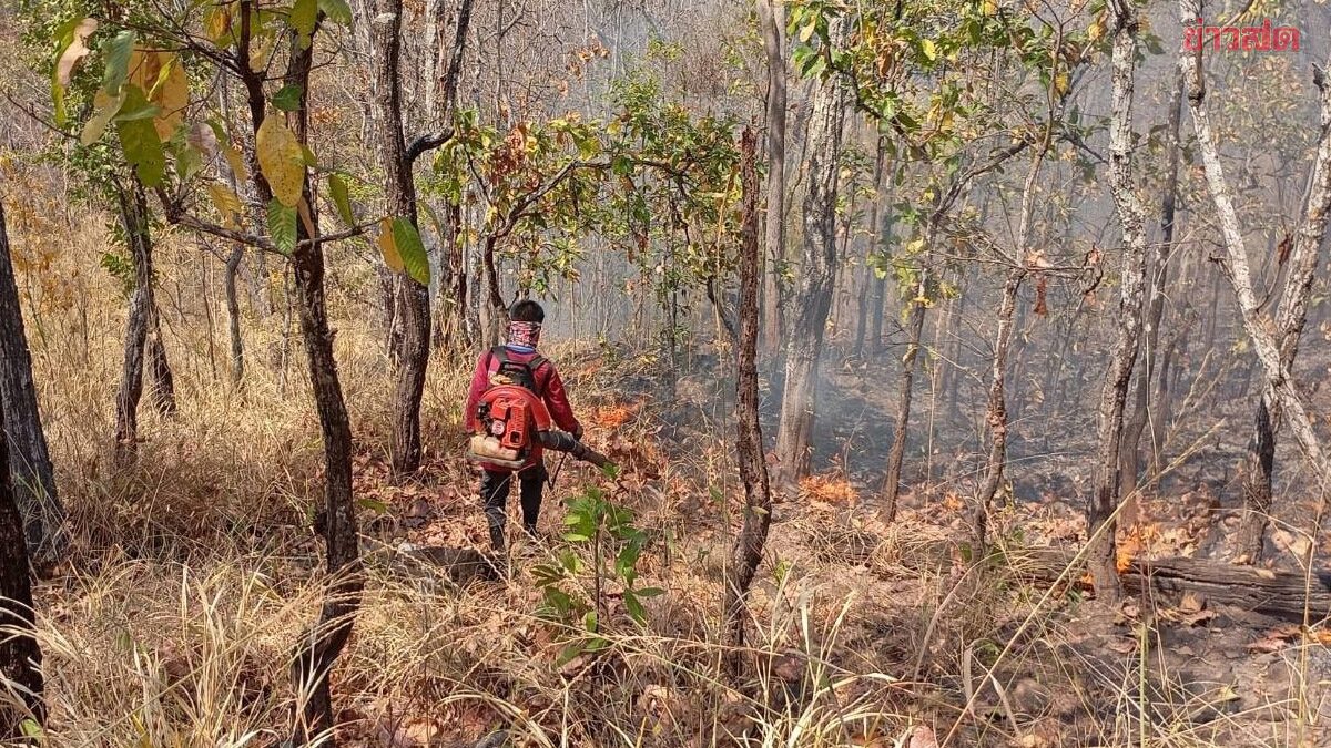 Forest Fire Near Nam Nao Extinguished After 8 Hours, Covering 120 Rai of Damage