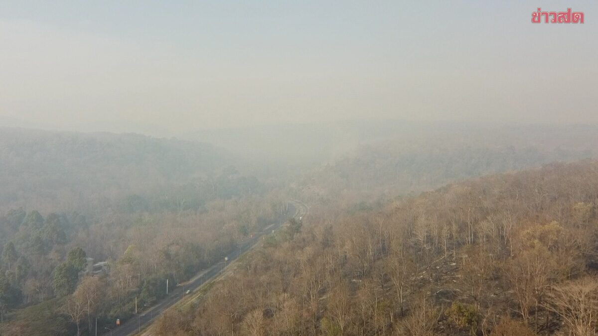 Dramatic Wildfire at Sakaerat Research Station Scorches 7,000 Rai in Nakhon Ratchasima