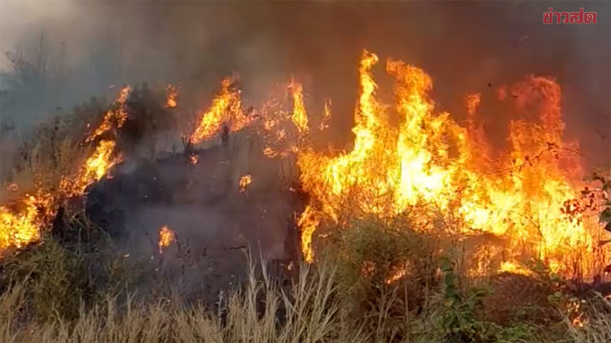 Phetchabun Forest Fire Still Raging: Strong Winds Reignite Blaze
