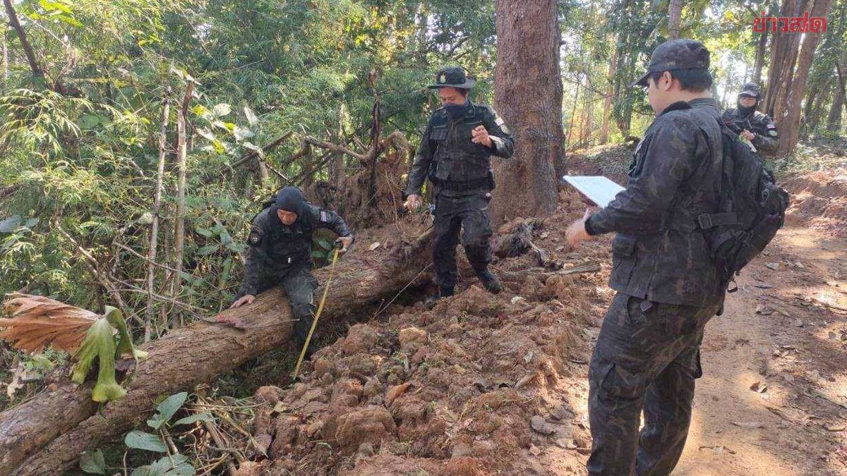 Exposed: Smuggling Network of Illegal Timber and Contraband in Mae Hong Son Border Region