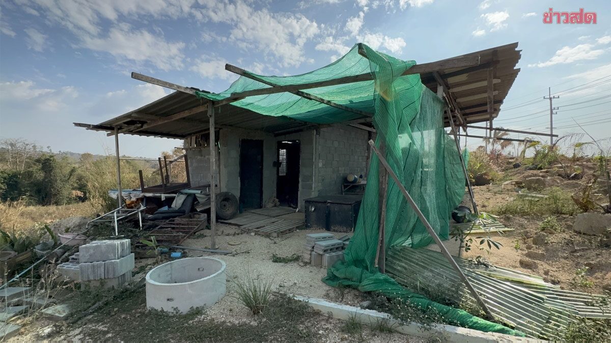 26-Year-Old Woman Runs Naked from Forest, Seeks Help After Attempted Robbery and Sexual Assault